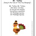 Mr. Turkey