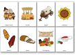 Printable Thanksgiving Flashcards