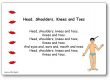 Head Shoulder Knees and Toes Song Lyrics
