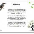 Kookaburra Sits in the Old Gum Tree