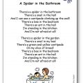 There's a Spider in the Bathroom Lyrics Song