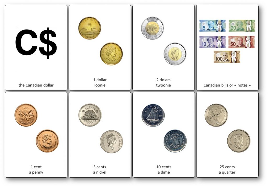 canadian currency picture cards PDF