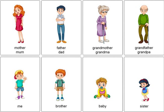 Flashcards family Members ESL PDF to print