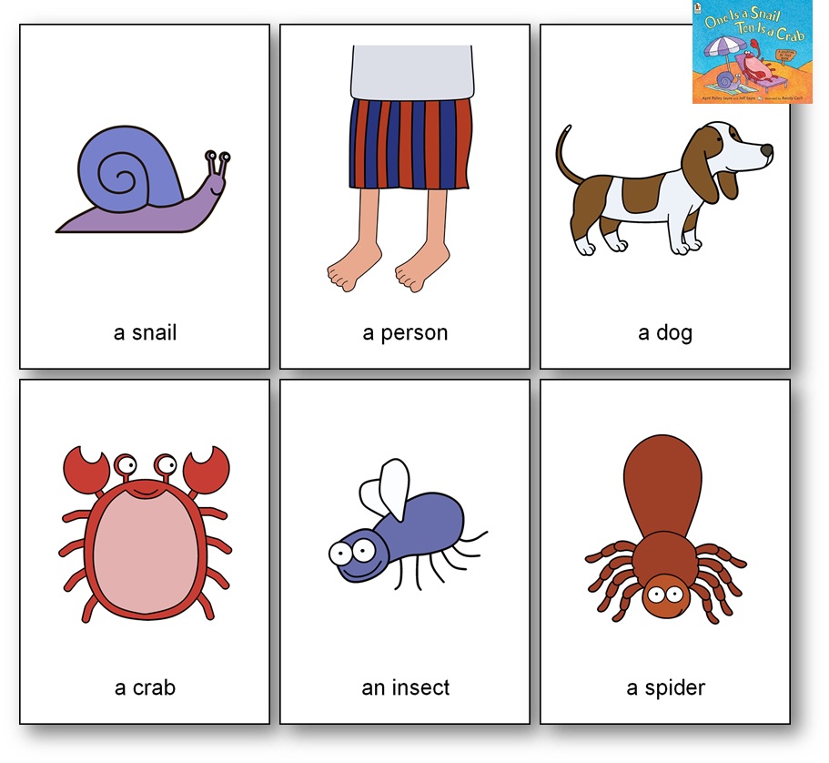 One is a Snail, Ten is a Crab Flashcards Activities Preschool - Vocabulary Cards Picture Cards